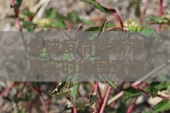 今日重大通报咪咪扑克开挂神器!详细开挂教程√其实是有挂 今日重大通报咪咪扑克开挂神器!详细开挂教程√其实是有挂