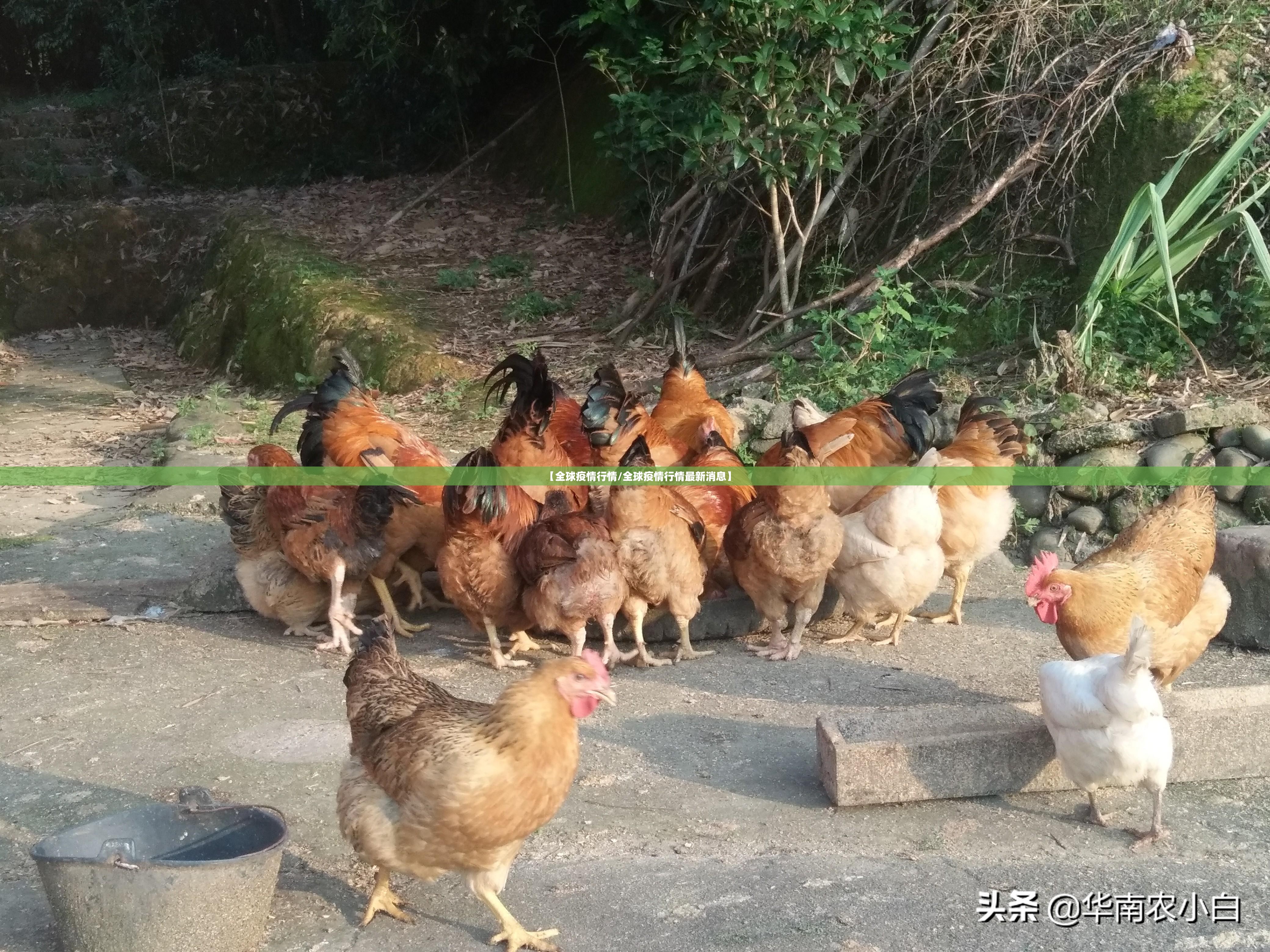 推荐一款呗兔其实有挂确实有挂√其实是有挂