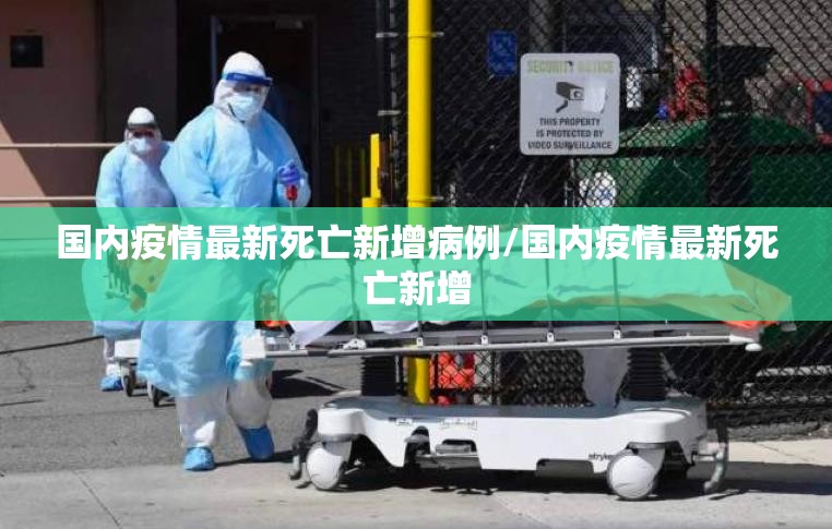 重磅.来袭“洋洋挖花其实能开挂”√必胜开挂神器