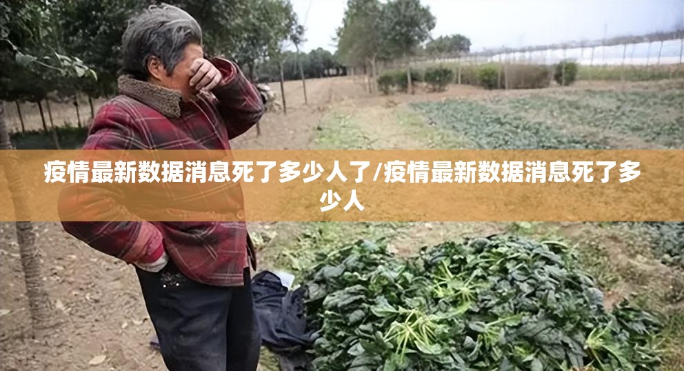 分享实测途乐竞技怎么开挂可以开挂吗原来真可以开挂