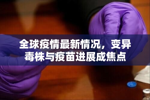 推荐一款新八戒到底能不能开挂√曝光透视猫腻