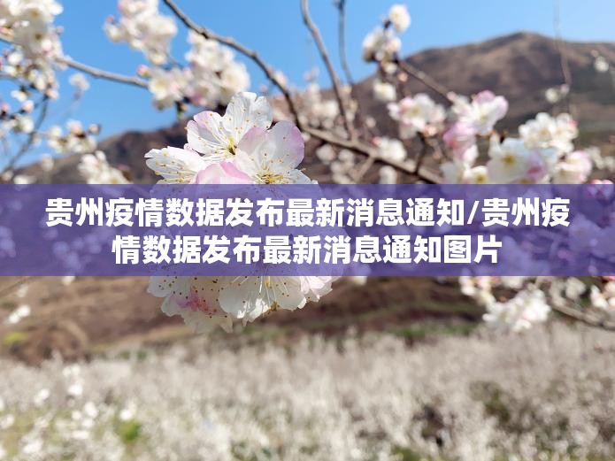 今日重大通报“吉祥填大坑究竟有没有挂!”原来可以开挂