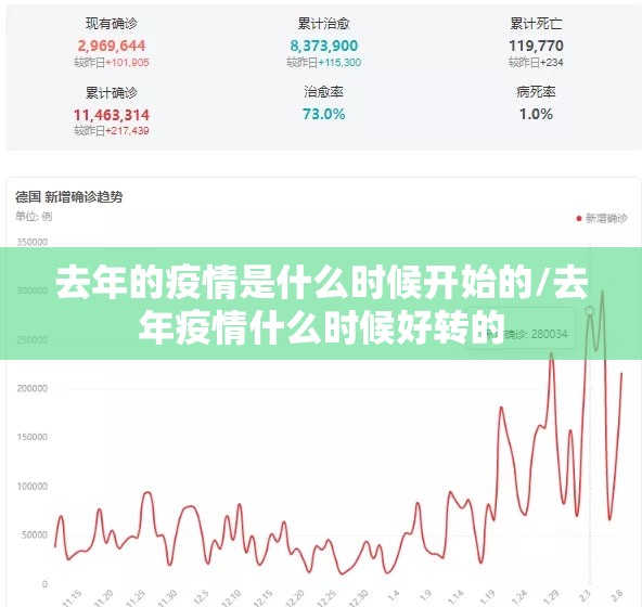 去年的疫情是什么时候开始的/去年疫情什么时候好转的