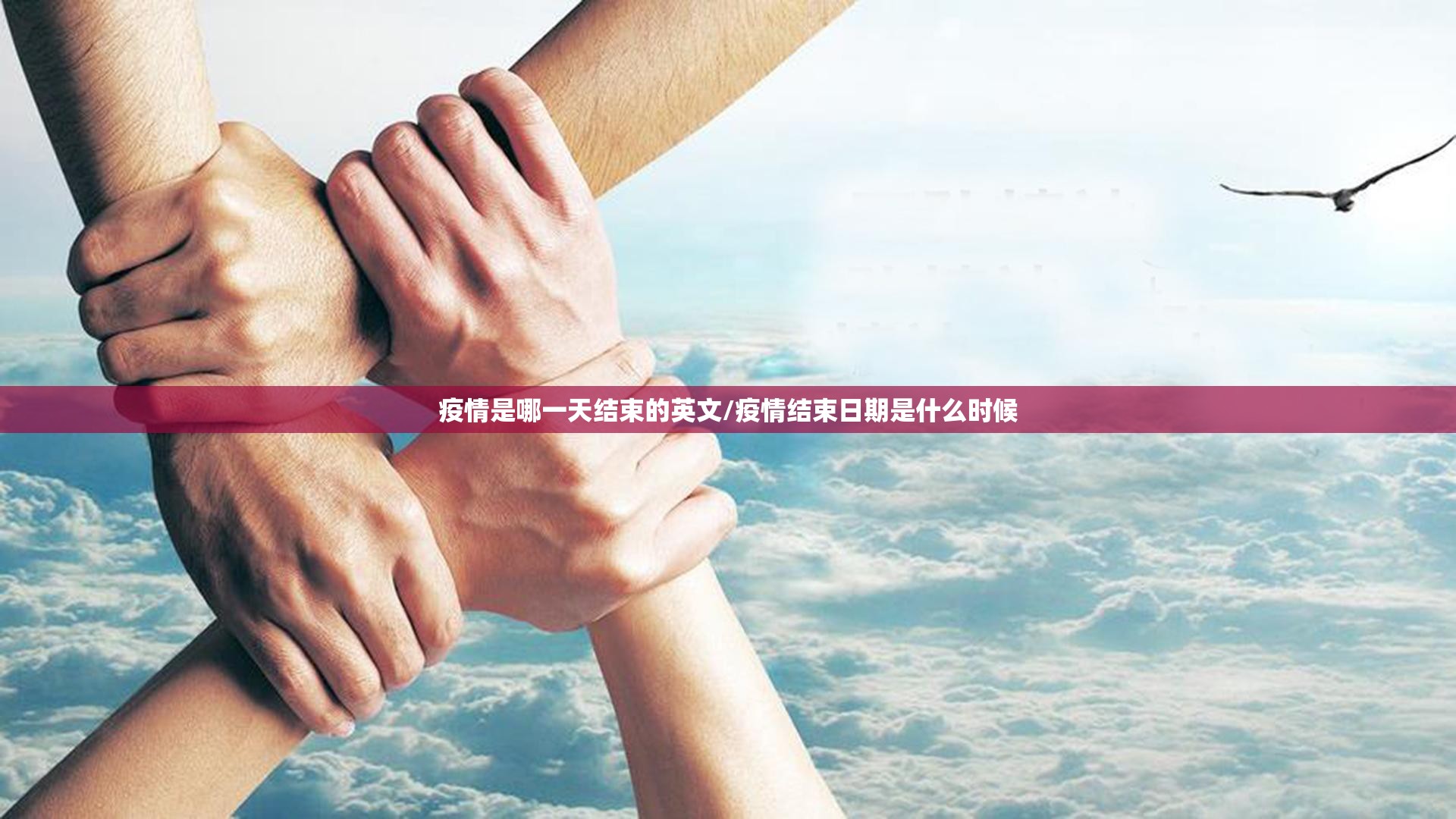 分享实测圣游可不可以开挂其实有挂(真的有挂)-知乎 分享实测圣游可不可以开挂其实有挂(真的有挂)-知乎