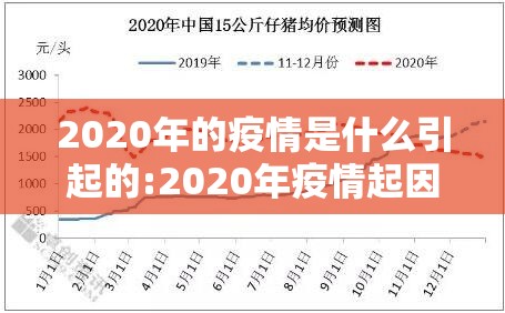 2020年的疫情是什么引起的:2020年疫情起因是什么