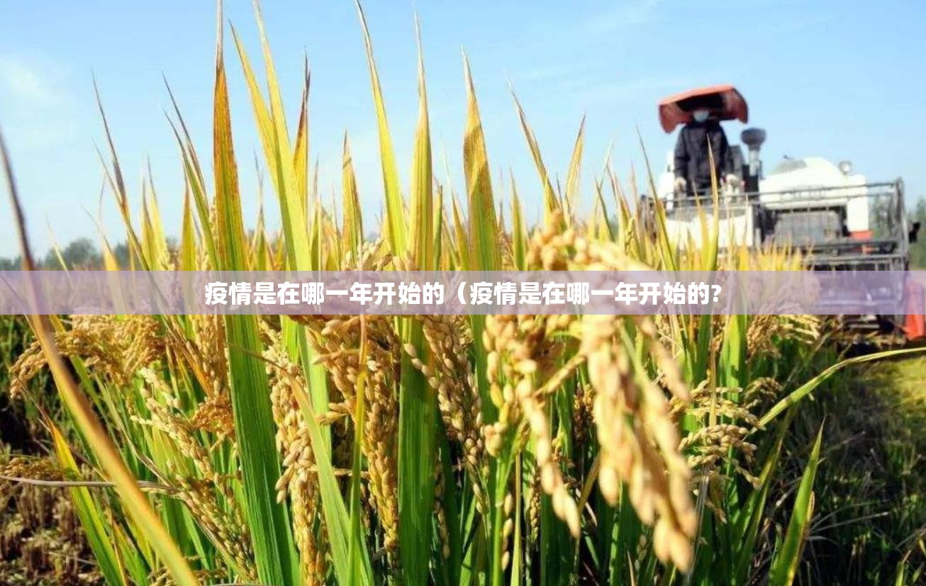 分享实测晟和互动到底有挂吗原来可以开挂