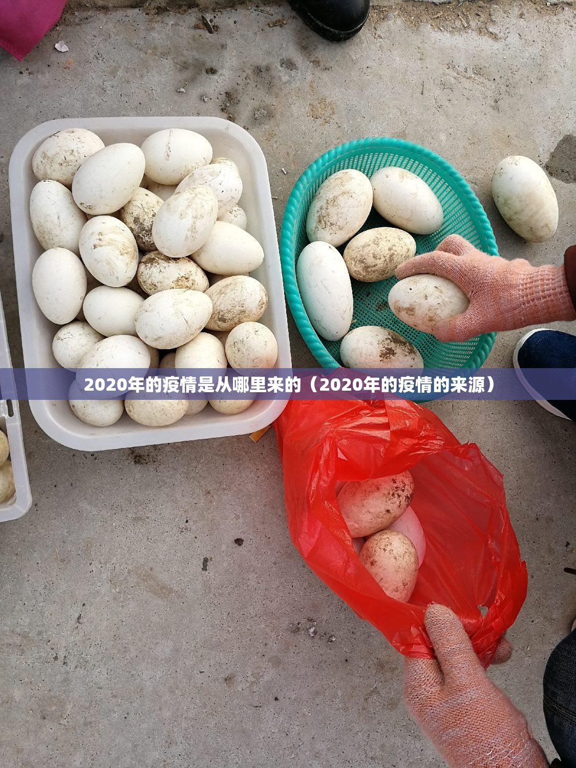 今日重大通报茄子娱乐外卦神器是真的吗”√必胜开挂神器