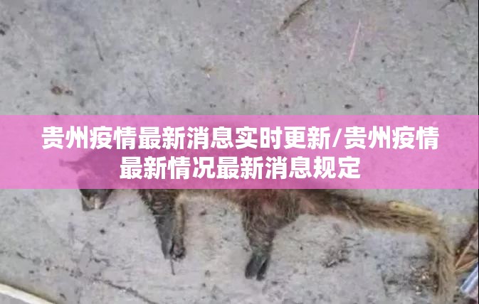 贵州疫情最新消息实时更新/贵州疫情最新情况最新消息规定