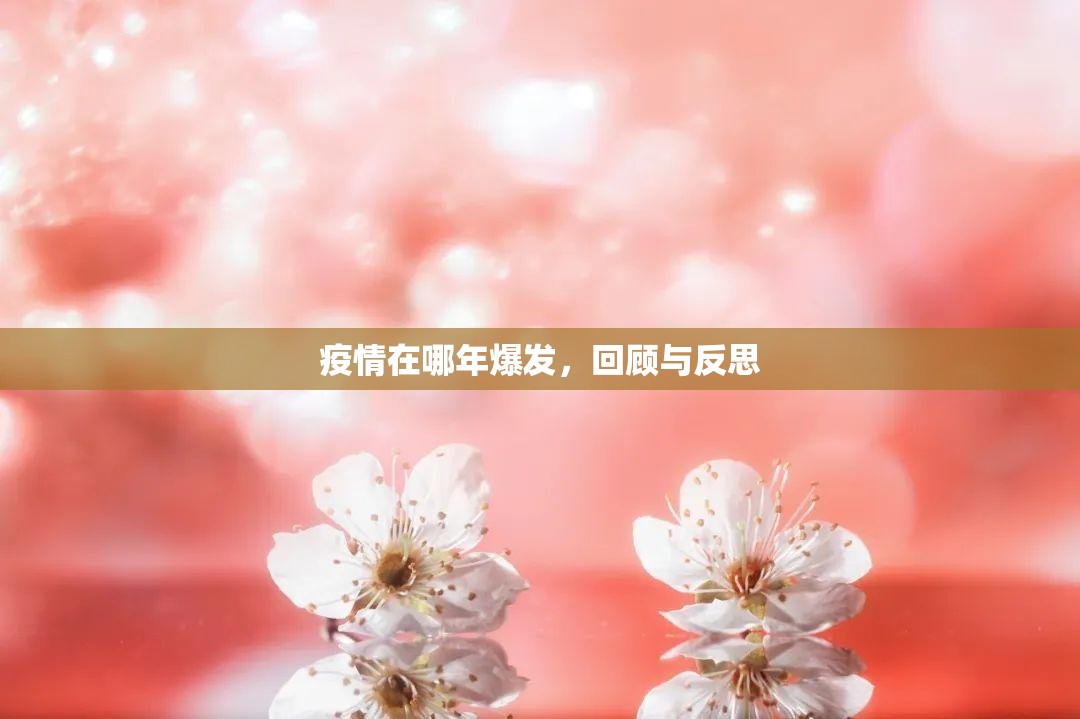 分享实测晟和互动到底有挂吗原来可以开挂
