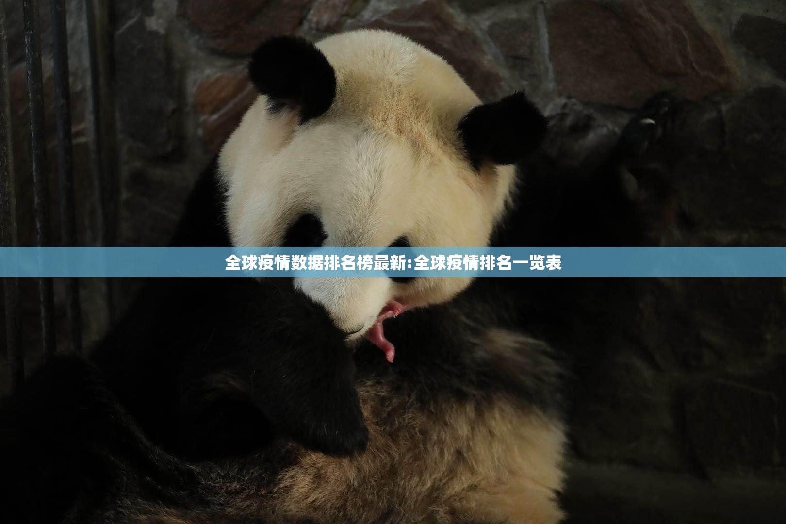 分享实测安喜的确有挂确实有挂其实确实有挂 分享实测安喜的确有挂确实有挂其实确实有挂