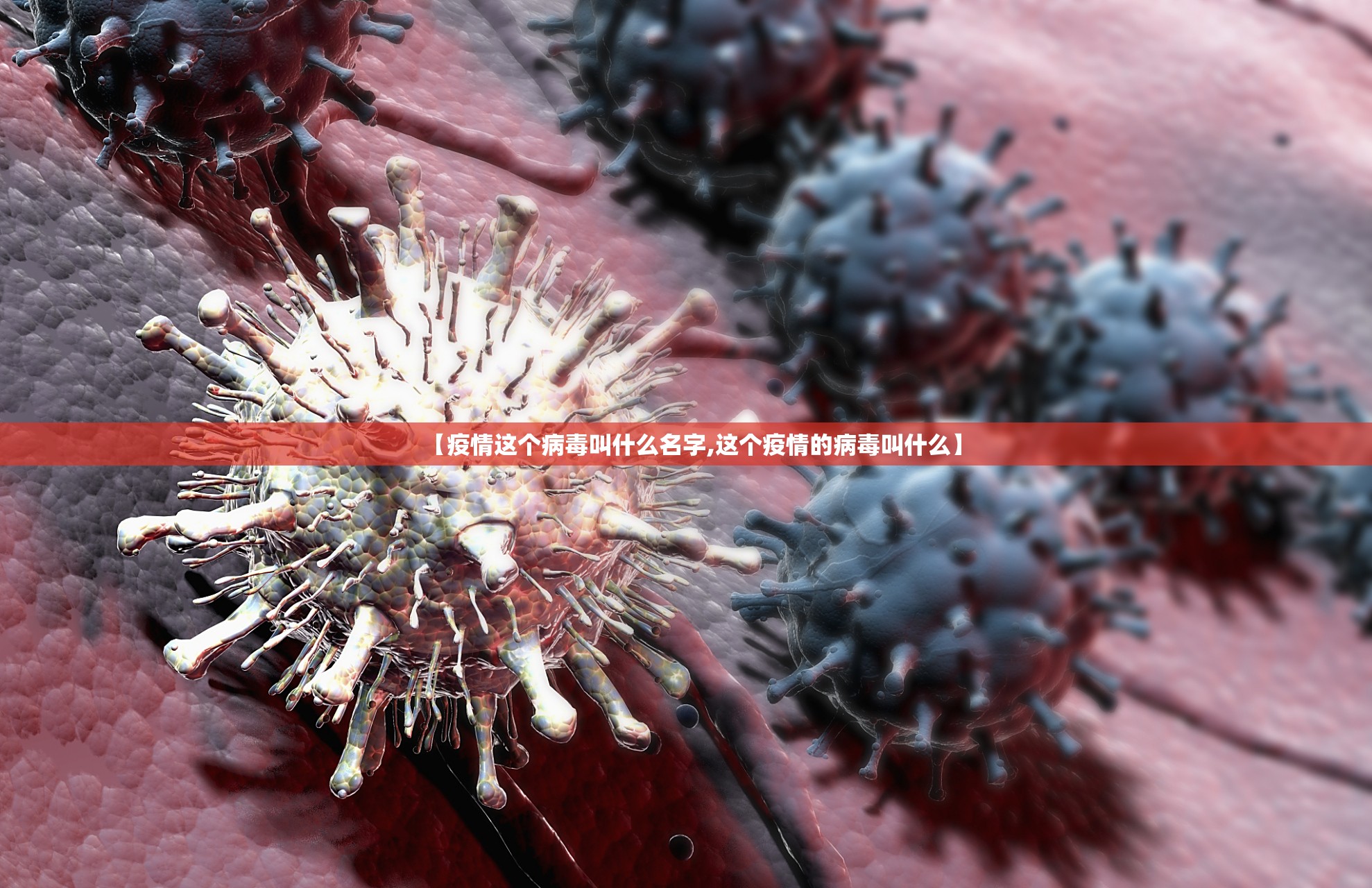 郑州疫情封了多少天/郑州疫情封了多少天了