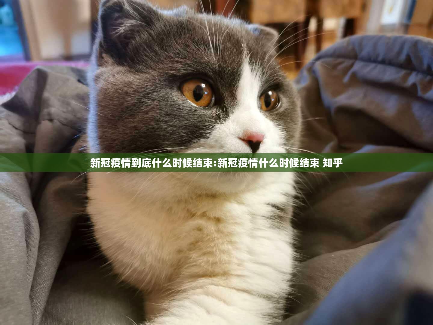推荐一款相约麻将原来确实可以开挂其实真的确实有挂