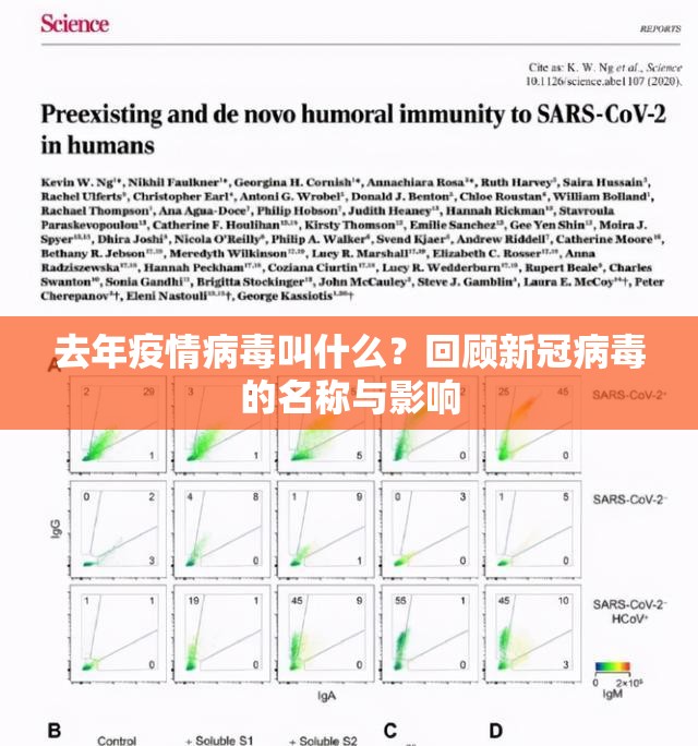 分享实测小闲巴渝棋牌是不是真的有挂2025其实有挂-知乎