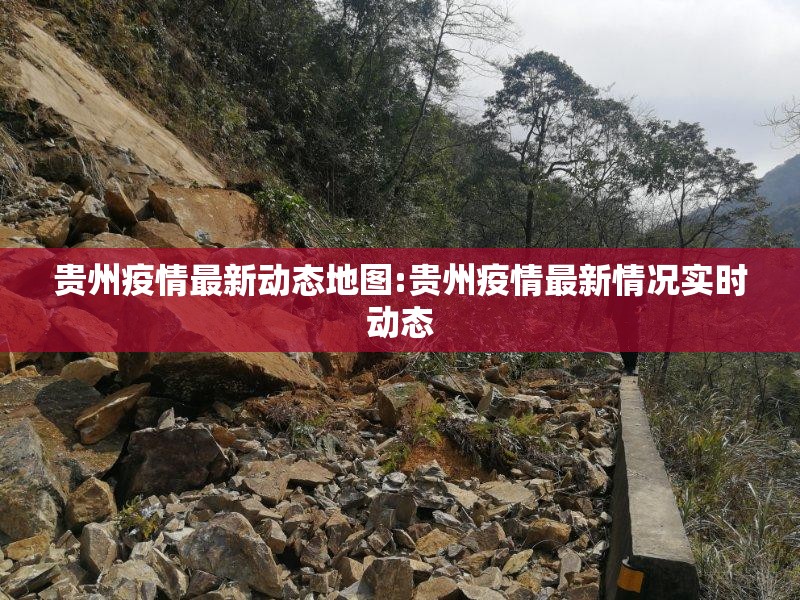 贵州疫情最新动态地图:贵州疫情最新情况实时动态