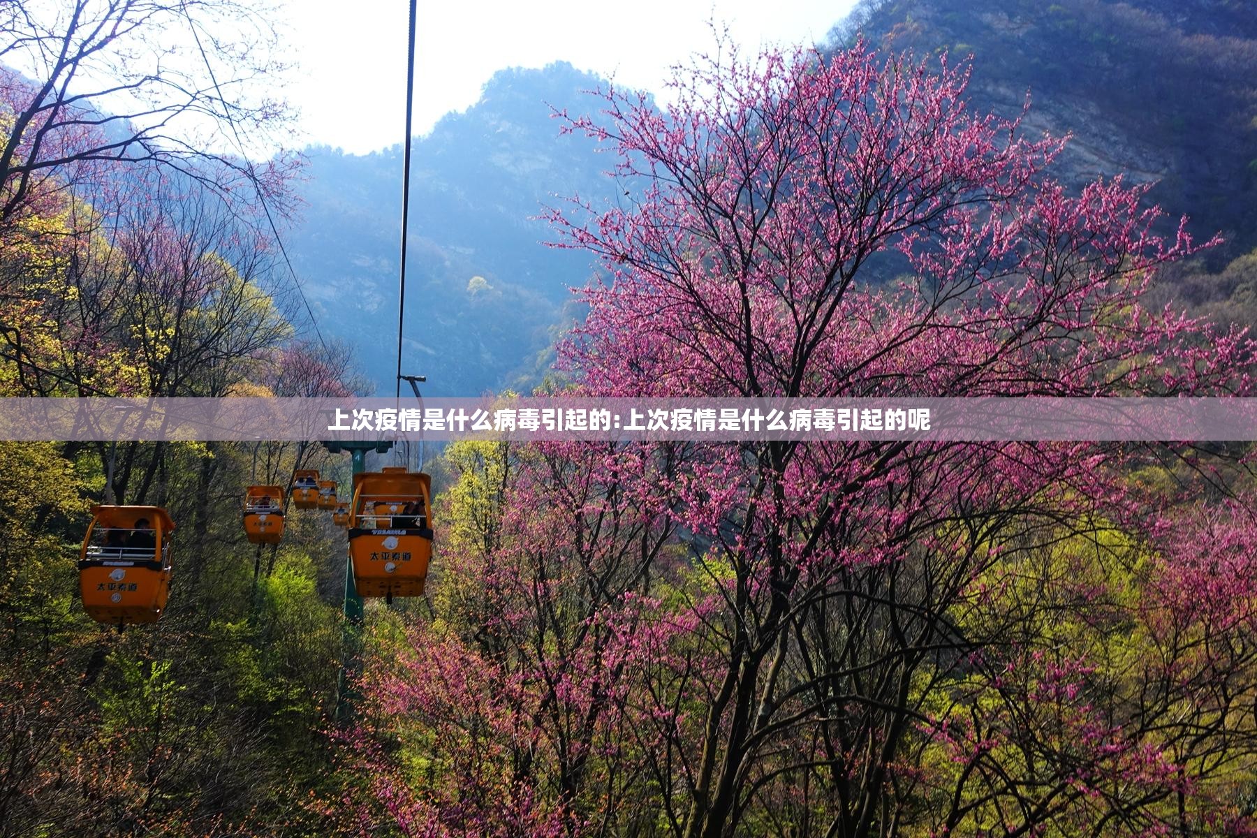 重大通报微乐捉老麻子到底有没有挂其实有挂-知乎 重大通报微乐捉老麻子到底有没有挂其实有挂-知乎