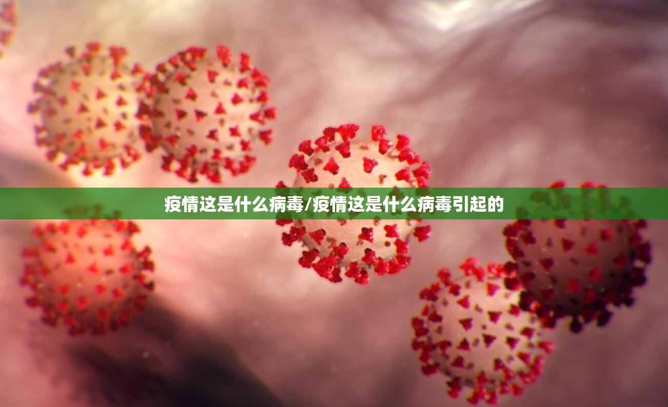 重大通报微乐二七王有没有挂果然有挂