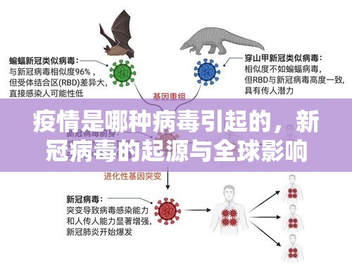 分享实测闲来互娱怎样开挂@太坑了真的有挂 分享实测闲来互娱怎样开挂@太坑了真的有挂