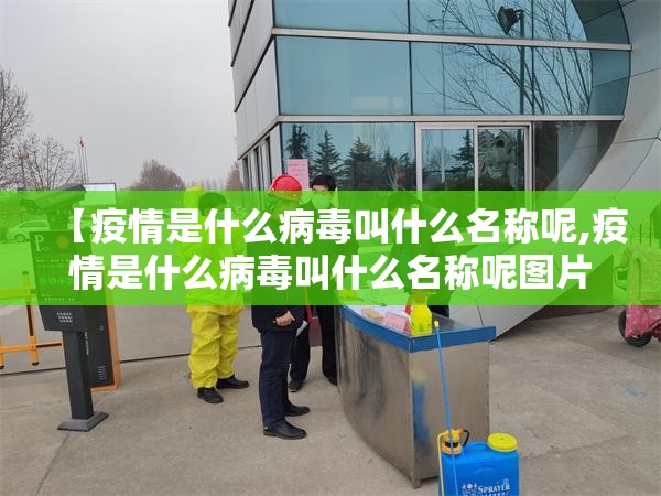 重磅.来袭富友茶苑真的有挂确实有挂确实真的有挂