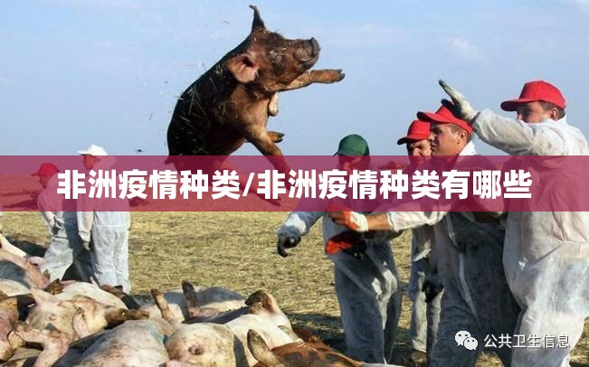 重大通报吉祥填大坑怎么开挂原来可以开挂