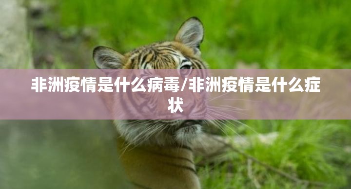 推荐一款微乐四川麻将挂!详细开挂教程(其实真的能开挂) 推荐一款微乐四川麻将挂!详细开挂教程(其实真的能开挂)