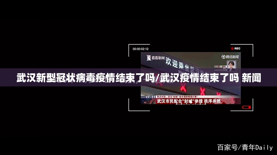 分享实测“拔萝卜辅助透视软件”√其实是有挂