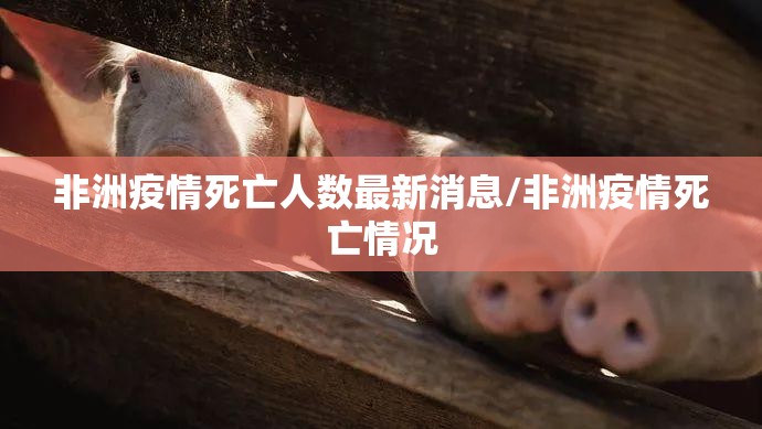 分享实测决战血流到底有没有透视挂分享真的有挂给你