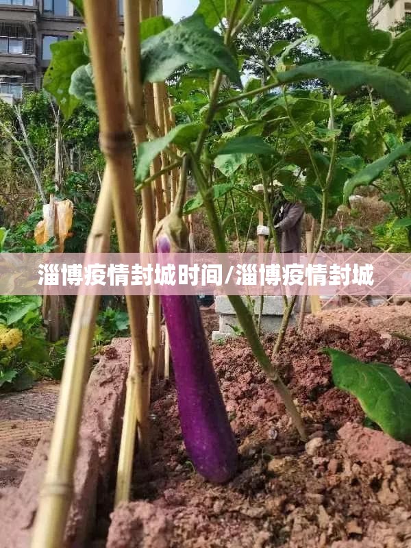 今日重大通报方片十三张可以开挂吗原来可以开挂 今日重大通报方片十三张可以开挂吗原来可以开挂