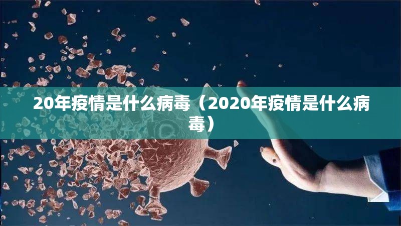 重磅.来袭微乐二七王万能开挂神器(其实真的能开挂)