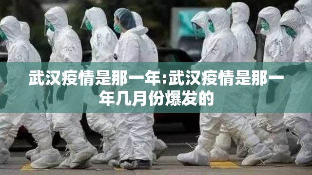 武汉疫情是那一年:武汉疫情是那一年几月份爆发的
