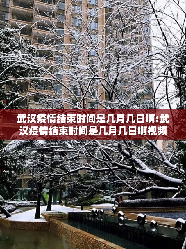 上海疫情防控网站官网/上海疫情防控网站 上海疫情防控网站官网/上海疫情防控网站