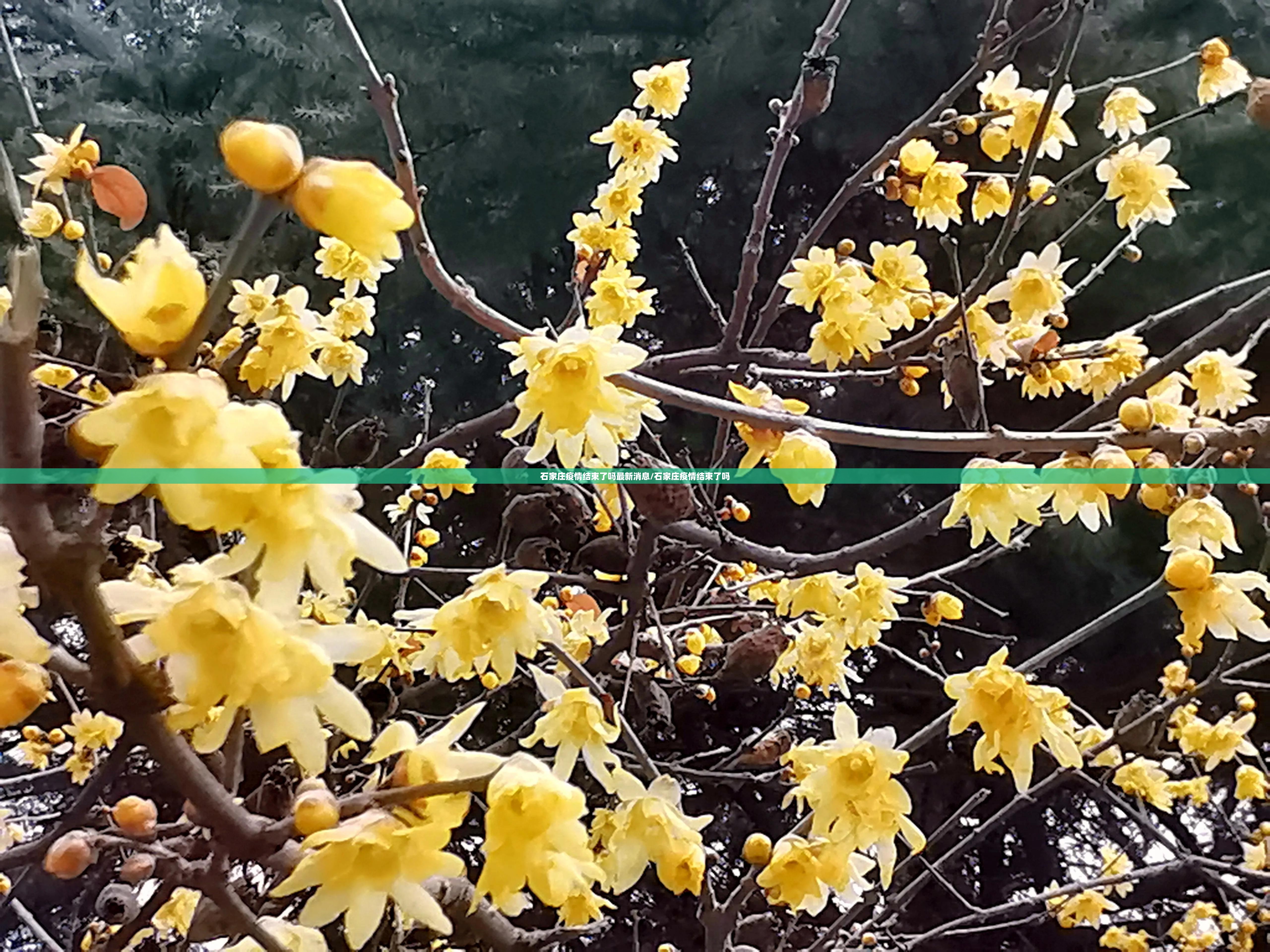 分享实测山西扣点点原来确实真的有挂(真的有挂)-知乎 分享实测山西扣点点原来确实真的有挂(真的有挂)-知乎