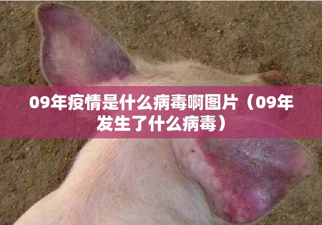 今日重大通报宝莲灯有没有挂确实果然有挂(原来确实是有挂)