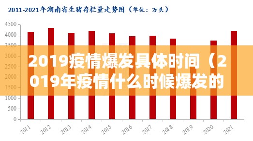 2019疫情爆发具体时间（2019年疫情什么时候爆发的）