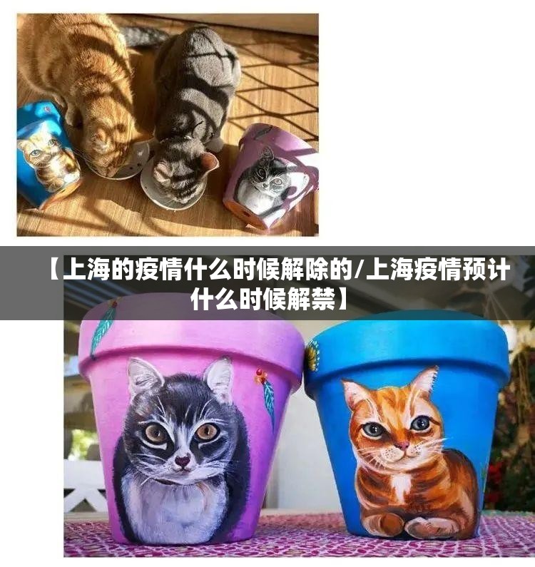 【上海的疫情什么时候解除的/上海疫情预计什么时候解禁】