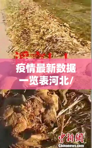 重磅.来袭多乐够级开挂教程步骤确实真的有挂 重磅.来袭多乐够级开挂教程步骤确实真的有挂