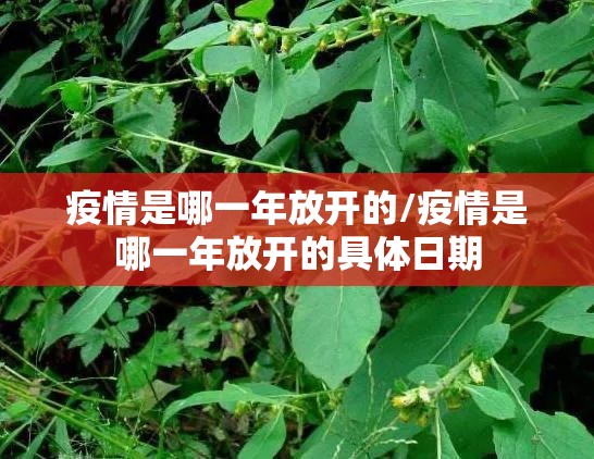 重磅.来袭叮叮娱乐开挂怎么使用的(其实真的能开挂)