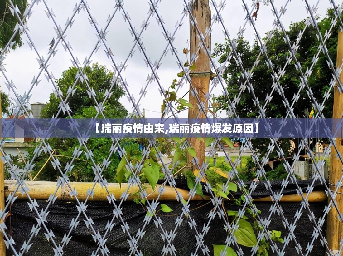 分享实测红龙扑克真的其实有挂原来真可以开挂