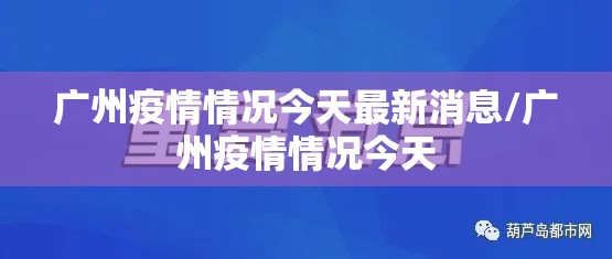 分享实测衢州都莱的确有挂确实有挂2025（果然有挂）