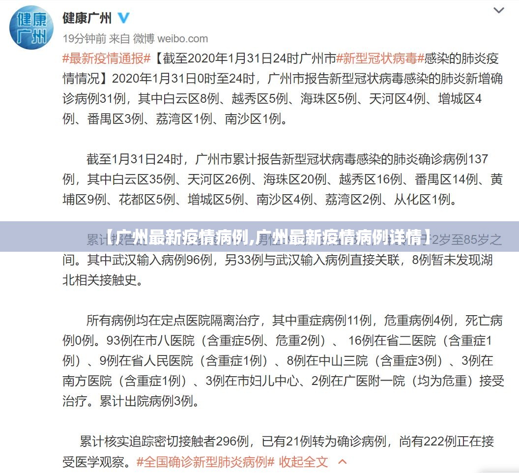 推荐一款新卡农开挂!其实确实有挂 推荐一款新卡农开挂!其实确实有挂