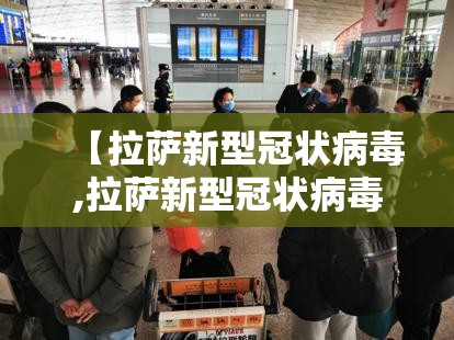 浙江省疫情最新消息，今日新增本土确诊病例15例，防控措施持续加强