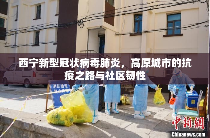 今日重大通报八戒金花果然有挂确实有挂(真的有挂)-知乎