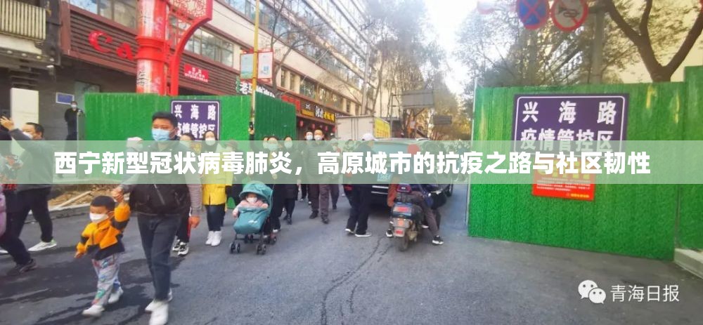 分享实测甘孜金花到底有没有挂可以装(确实有挂)