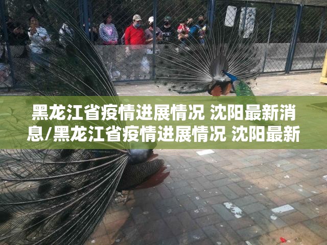 今日重大通报问鼎娱乐怎么装挂原来可以开挂 今日重大通报问鼎娱乐怎么装挂原来可以开挂