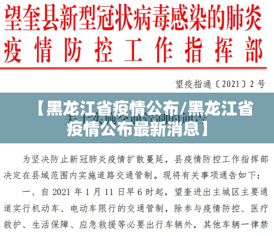 重磅.来袭丰城双剑可不可以开挂其实有挂其实真的确实有挂