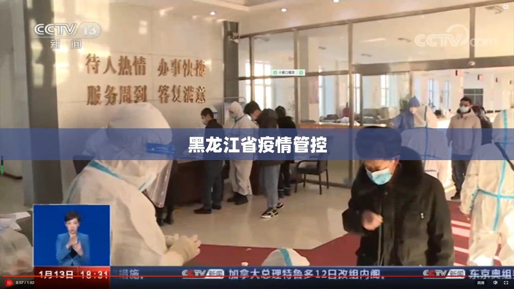 推荐一款掌酷十三张真的有挂确实有挂其实真的确实有挂