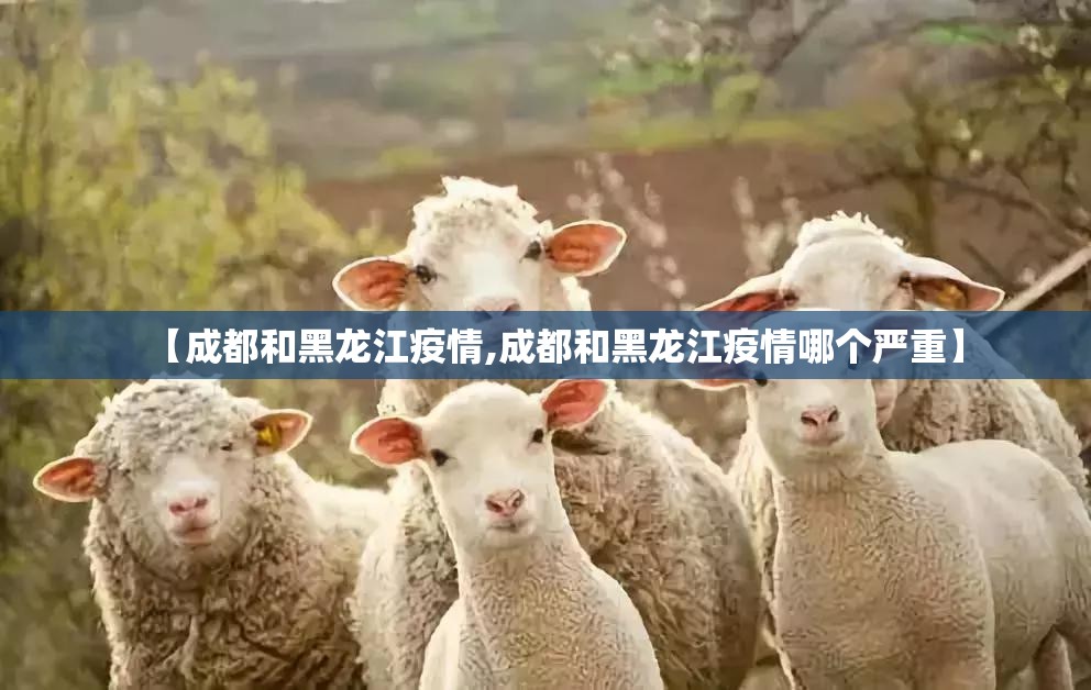 重磅.来袭晟和互动其实有挂确实是有挂原来真可以开挂