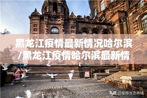 重磅.来袭欢乐吓牌其实真的确实有挂√必胜开挂神器