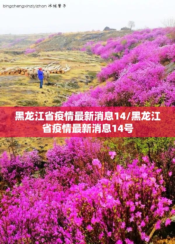 今日重大通报BB棋牌挂!详细开挂教程√必胜开挂神器