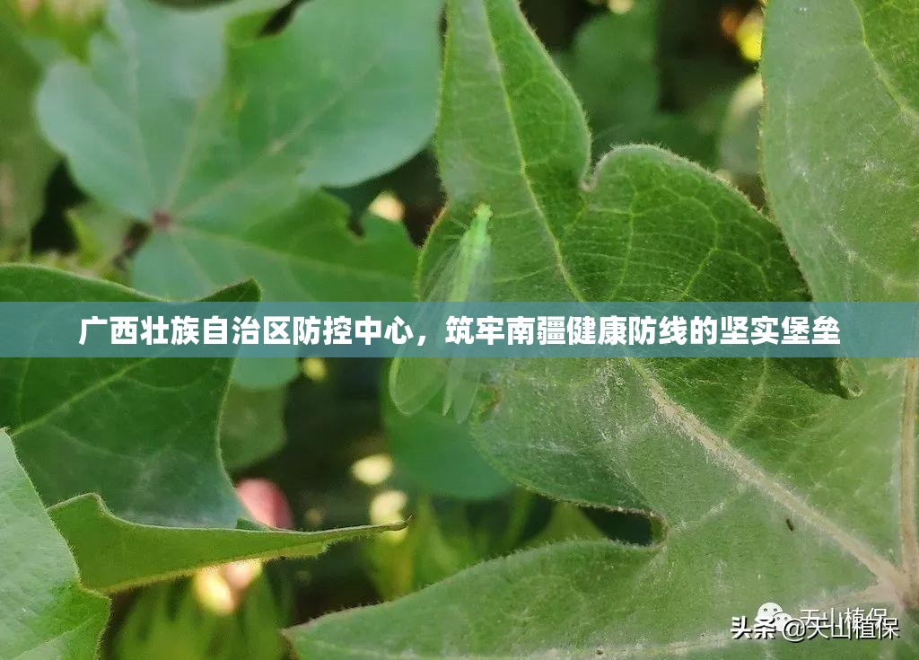 分享实测“微乐家乡麻将开挂软件”√太坑了原来有挂 分享实测“微乐家乡麻将开挂软件”√太坑了原来有挂