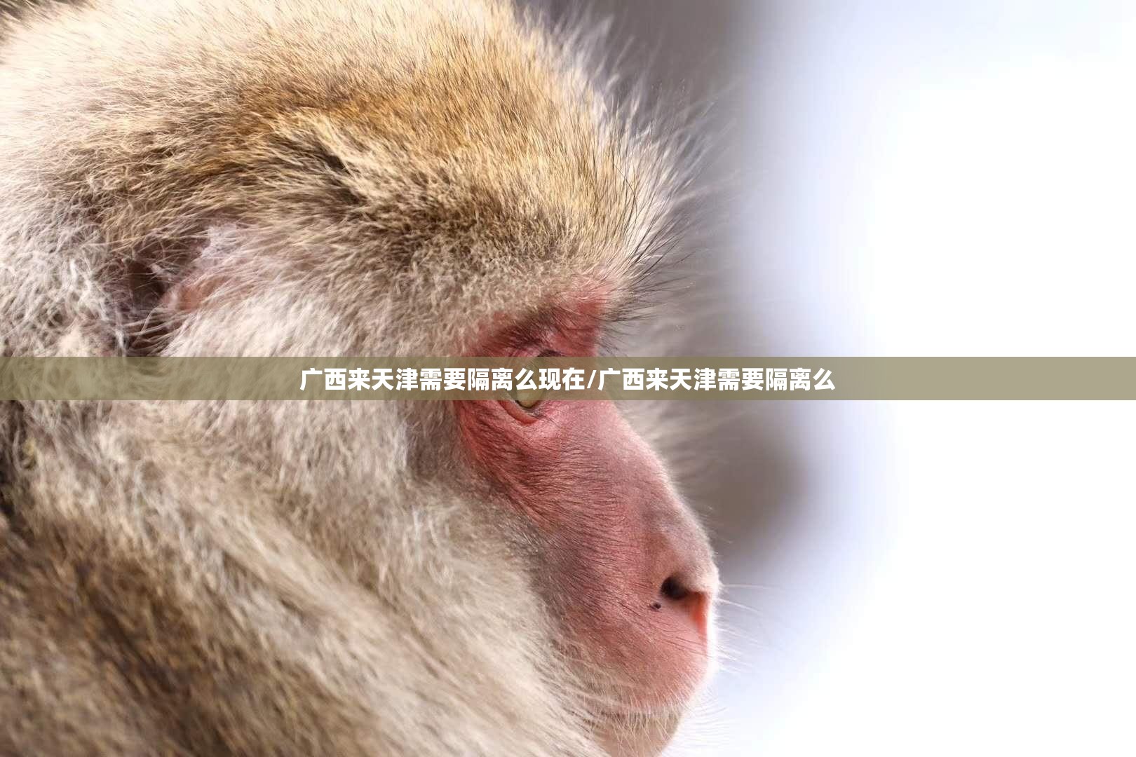 重磅.来袭大牌联盟开挂!√曝光透视猫腻